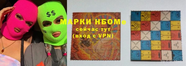 сатива Балахна