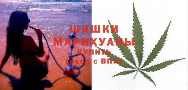 сатива Балахна