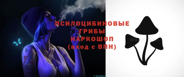 сатива Балахна