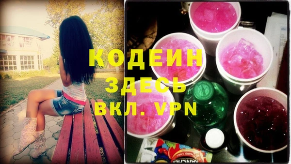 сатива Балахна