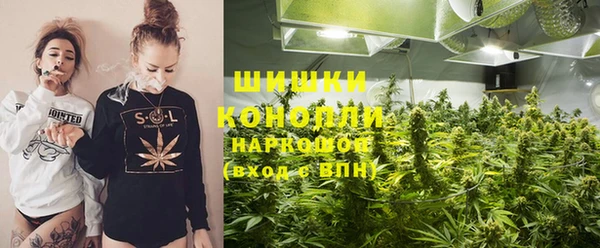 сатива Балахна