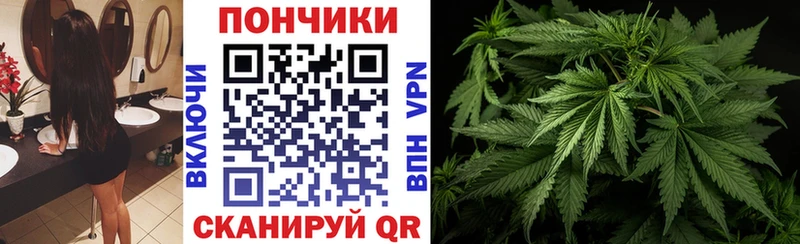 цены   это как зайти  МАРИХУАНА планчик  Фрязино 